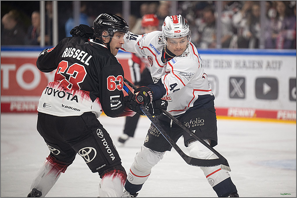 PENNY DEL 1; Kölner Haie - Nürnberg Ice Tigers; Köln, 25.01.2026