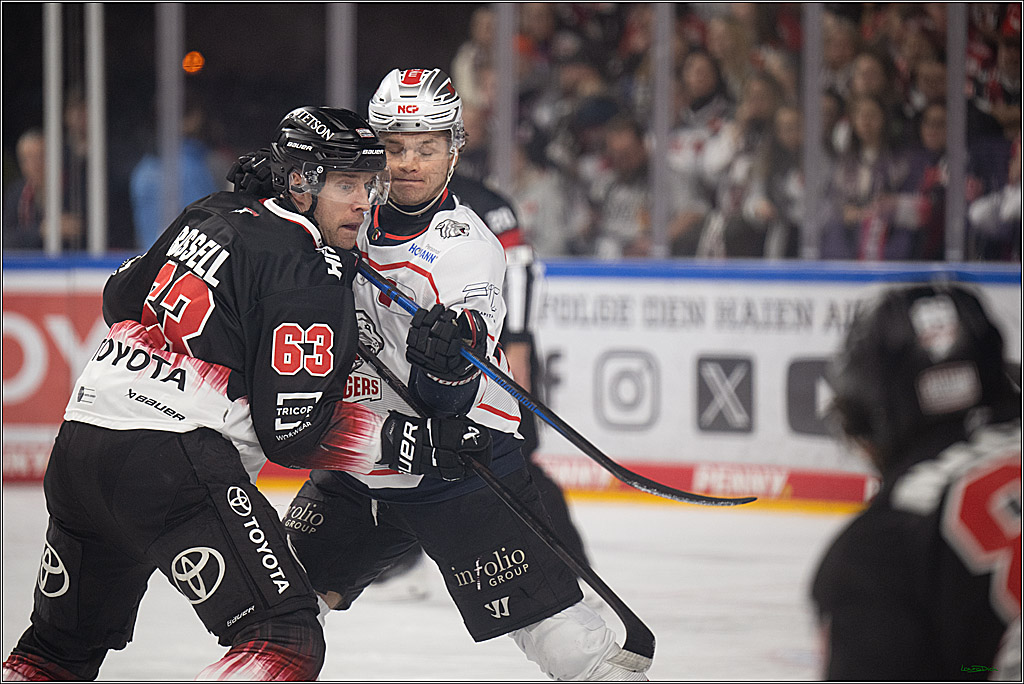 PENNY DEL 1; Kölner Haie - Nürnberg Ice Tigers; Köln, 25.01.2026