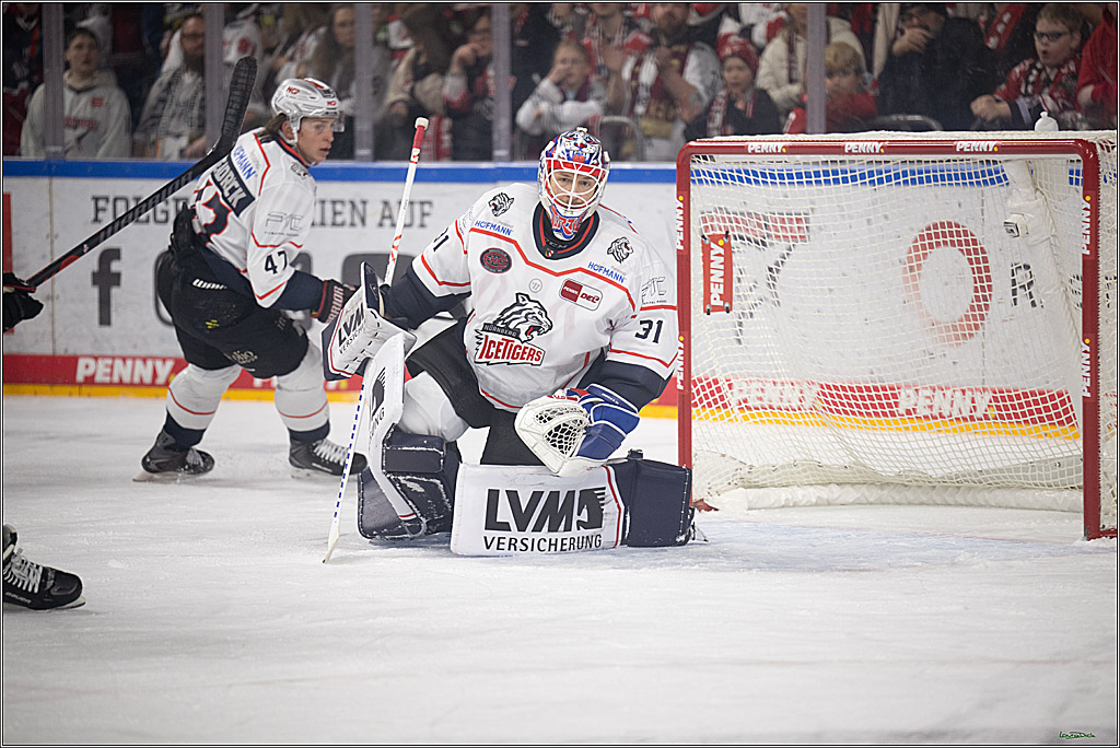 PENNY DEL 1; Kölner Haie - Nürnberg Ice Tigers; Köln, 25.01.2026