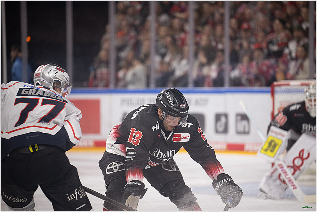 PENNY DEL 1; Kölner Haie - Nürnberg Ice Tigers; Köln, 25.01.2026
