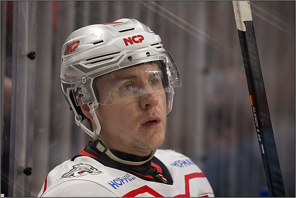 PENNY DEL 1; Kölner Haie - Nürnberg Ice Tigers; Köln, 25.01.2026