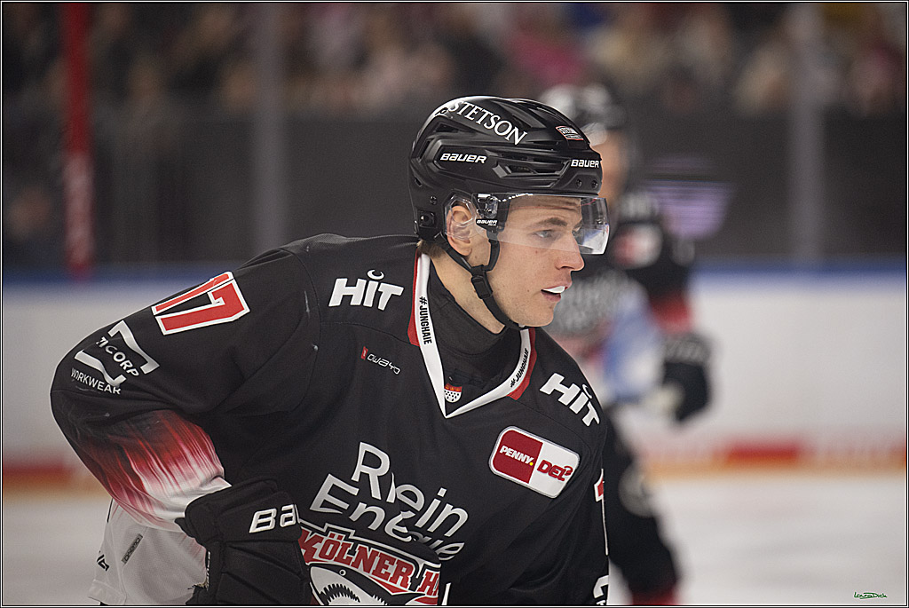 PENNY DEL 1; Kölner Haie - Nürnberg Ice Tigers; Köln, 25.01.2026