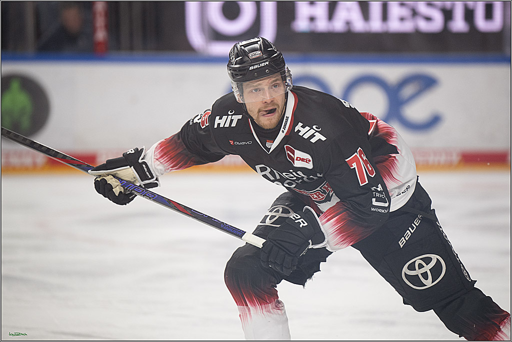 PENNY DEL 1; Kölner Haie - Nürnberg Ice Tigers; Köln, 25.01.2026