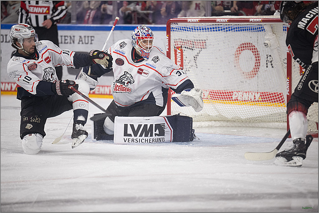 PENNY DEL 1; Kölner Haie - Nürnberg Ice Tigers; Köln, 25.01.2026