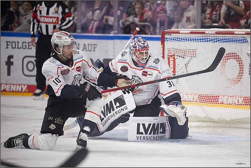 PENNY DEL 1; Kölner Haie - Nürnberg Ice Tigers; Köln, 25.01.2026