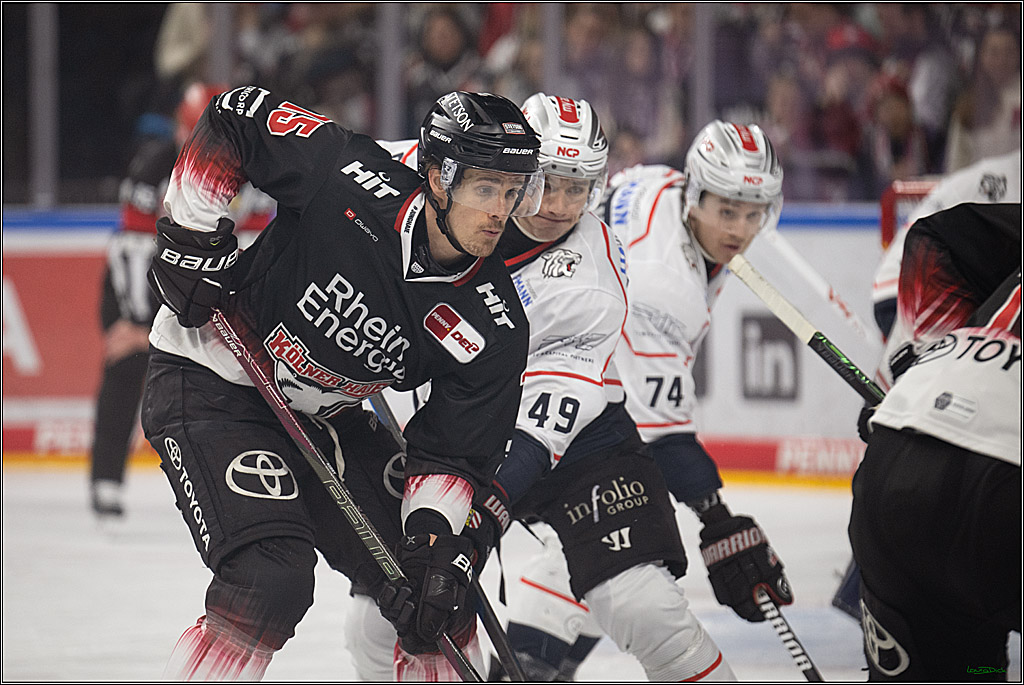 PENNY DEL 1; Kölner Haie - Nürnberg Ice Tigers; Köln, 25.01.2026