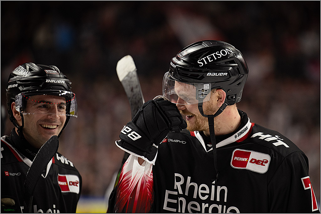 PENNY DEL 1; Kölner Haie - Nürnberg Ice Tigers; Köln, 25.01.2026