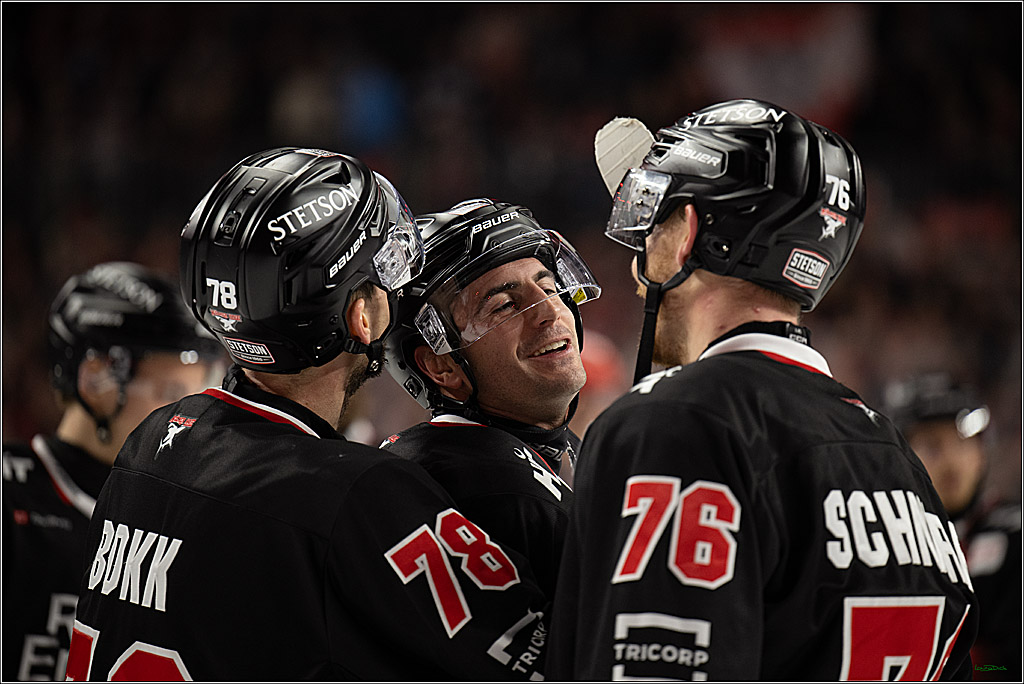 PENNY DEL 1; Kölner Haie - Nürnberg Ice Tigers; Köln, 25.01.2026