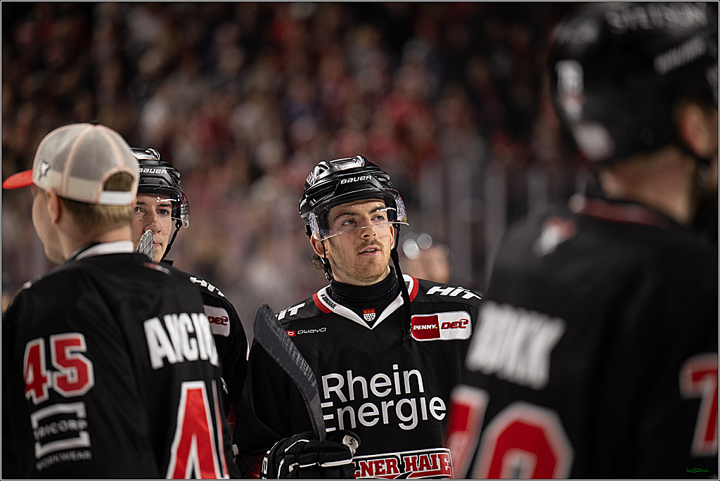 PENNY DEL 1; Kölner Haie - Nürnberg Ice Tigers; Köln, 25.01.2026