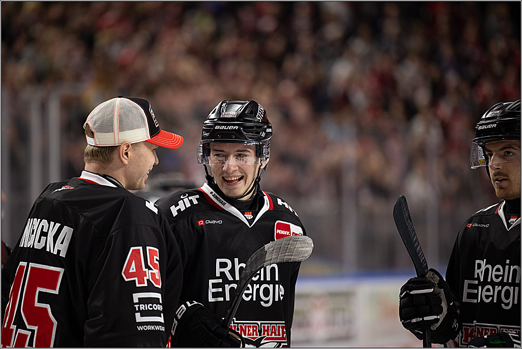 PENNY DEL 1; Kölner Haie - Nürnberg Ice Tigers; Köln, 25.01.2026