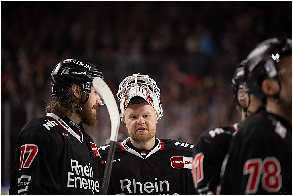 PENNY DEL 1; Kölner Haie - Nürnberg Ice Tigers; Köln, 25.01.2026