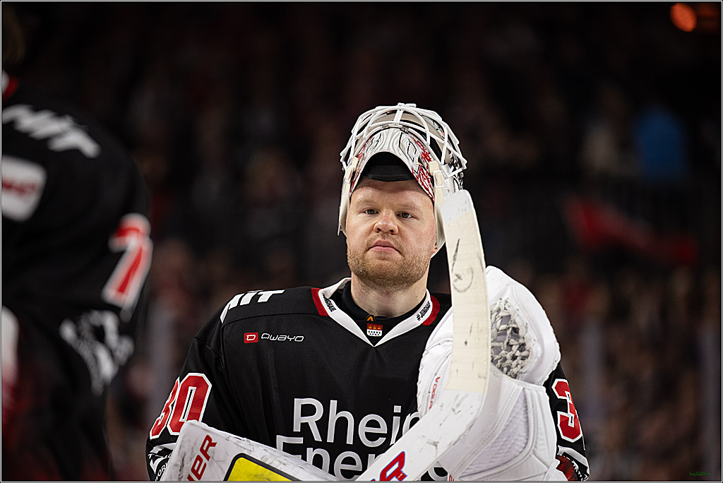 PENNY DEL 1; Kölner Haie - Nürnberg Ice Tigers; Köln, 25.01.2026
