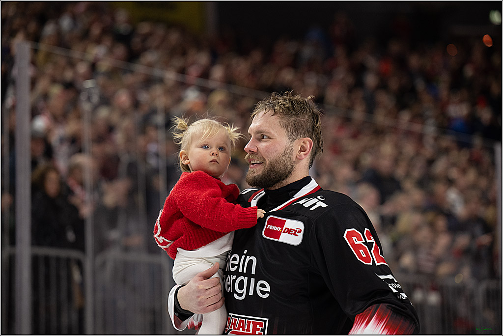 PENNY DEL 1; Kölner Haie - Nürnberg Ice Tigers; Köln, 25.01.2026