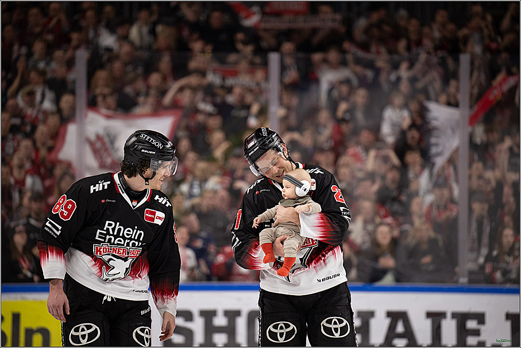 PENNY DEL 1; Kölner Haie - Nürnberg Ice Tigers; Köln, 25.01.2026