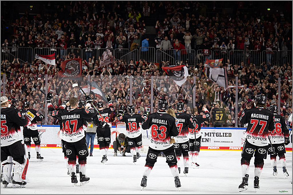 PENNY DEL 1; Kölner Haie - Nürnberg Ice Tigers; Köln, 25.01.2026