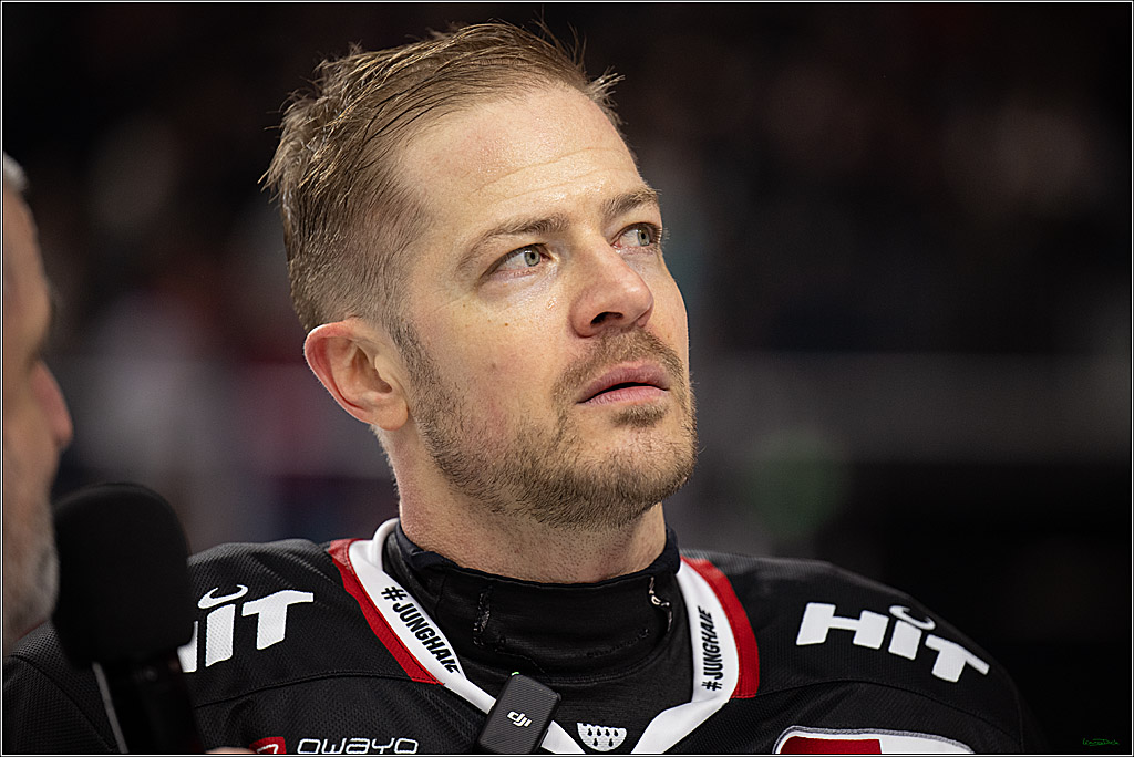 PENNY DEL 1; Kölner Haie - Nürnberg Ice Tigers; Köln, 25.01.2026
