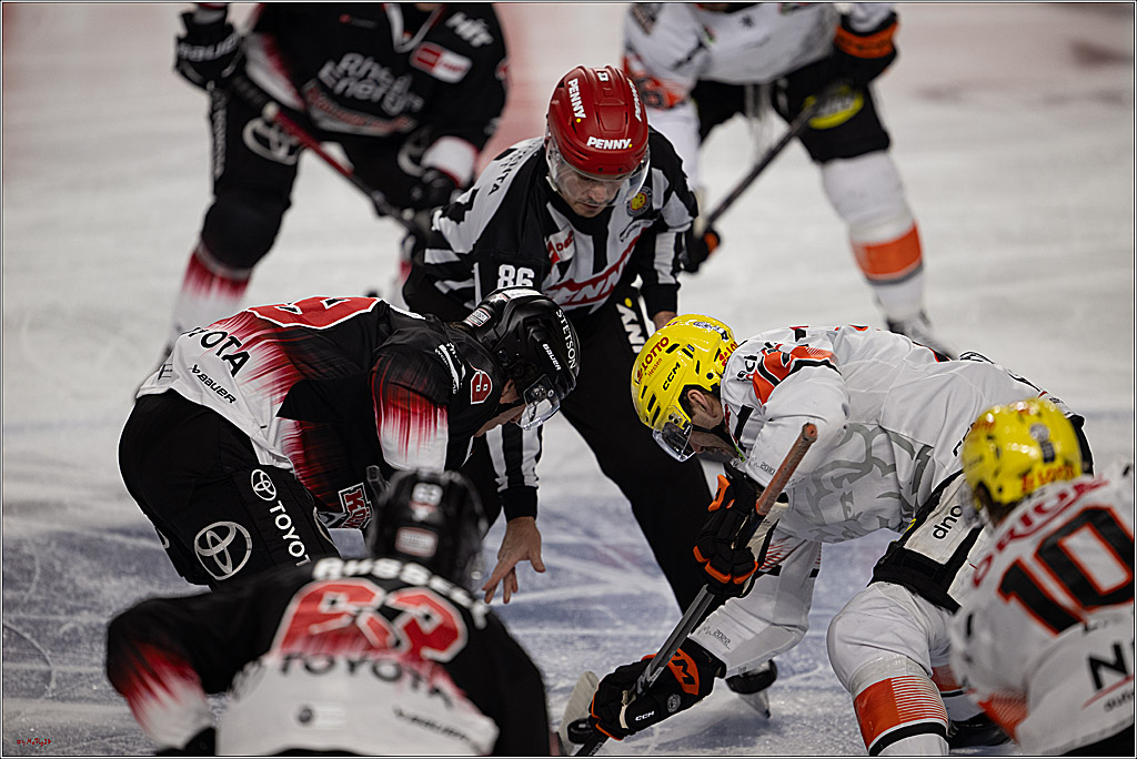 PENNY DEL 1; Kölner Haie - Löwen Frankfurt ; Köln, 27.01.2026