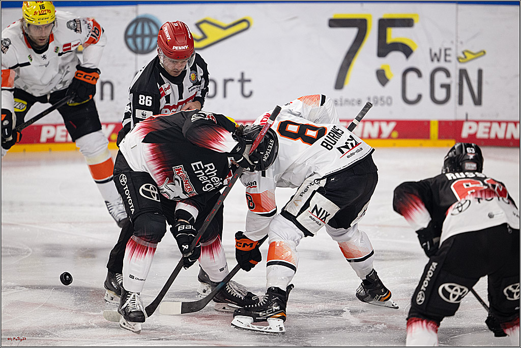 PENNY DEL 1; Kölner Haie - Löwen Frankfurt ; Köln, 27.01.2026