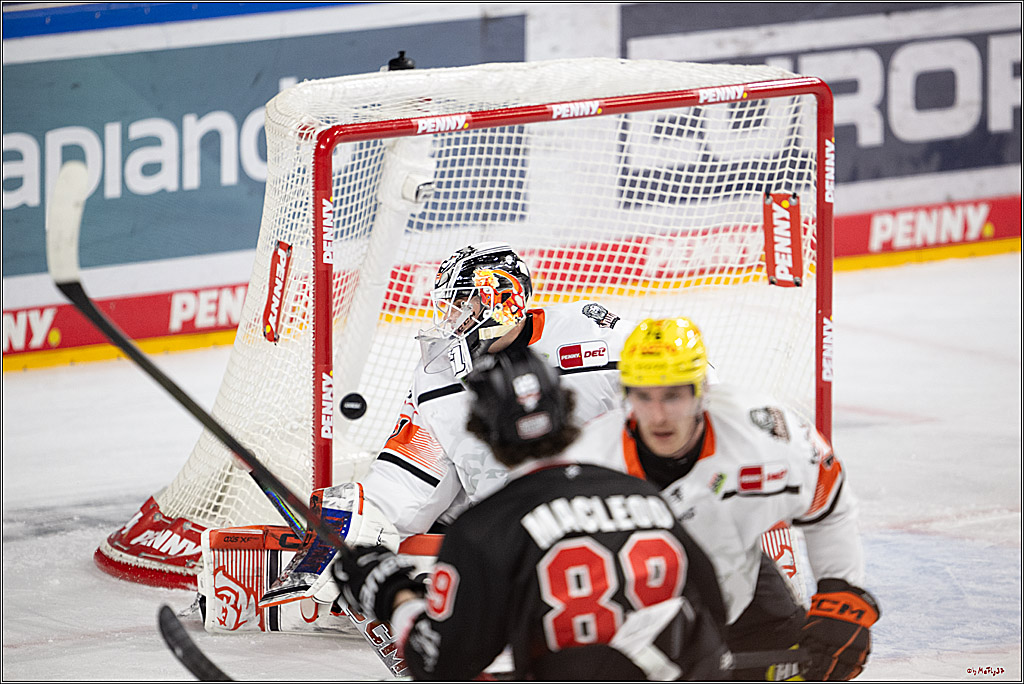 PENNY DEL 1; Kölner Haie - Löwen Frankfurt ; Köln, 27.01.2026