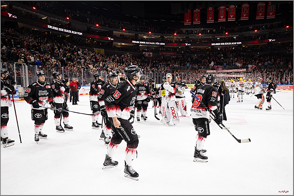 PENNY DEL 1; Kölner Haie - Löwen Frankfurt ; Köln, 27.01.2026