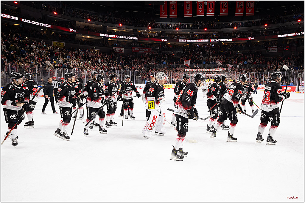 PENNY DEL 1; Kölner Haie - Löwen Frankfurt ; Köln, 27.01.2026