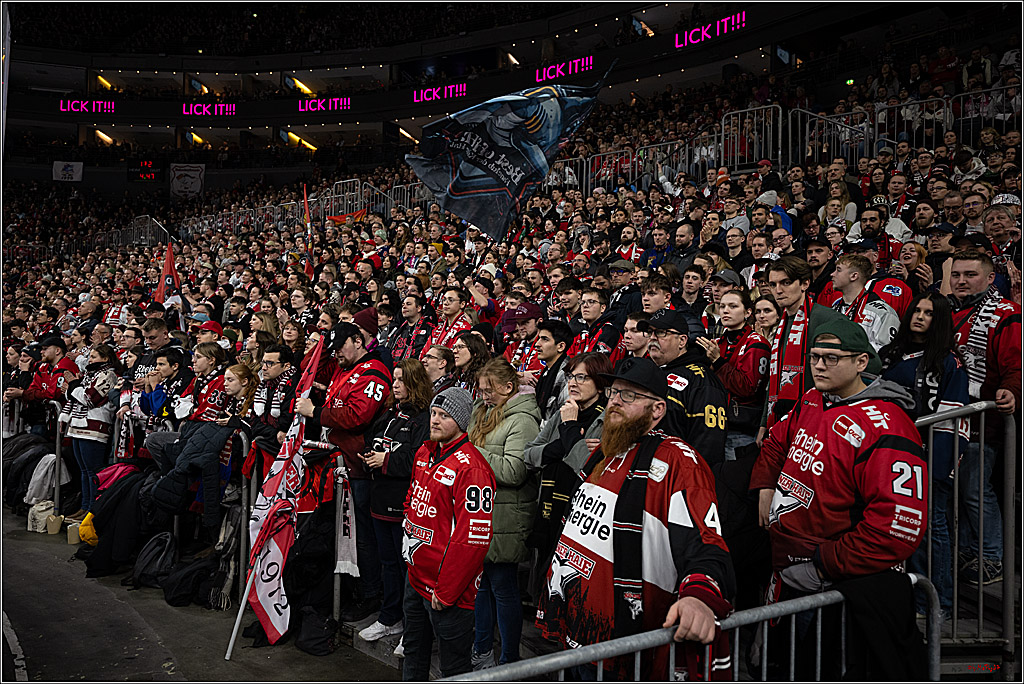 PENNY DEL 1; Kölner Haie - Löwen Frankfurt ; Köln, 27.01.2026