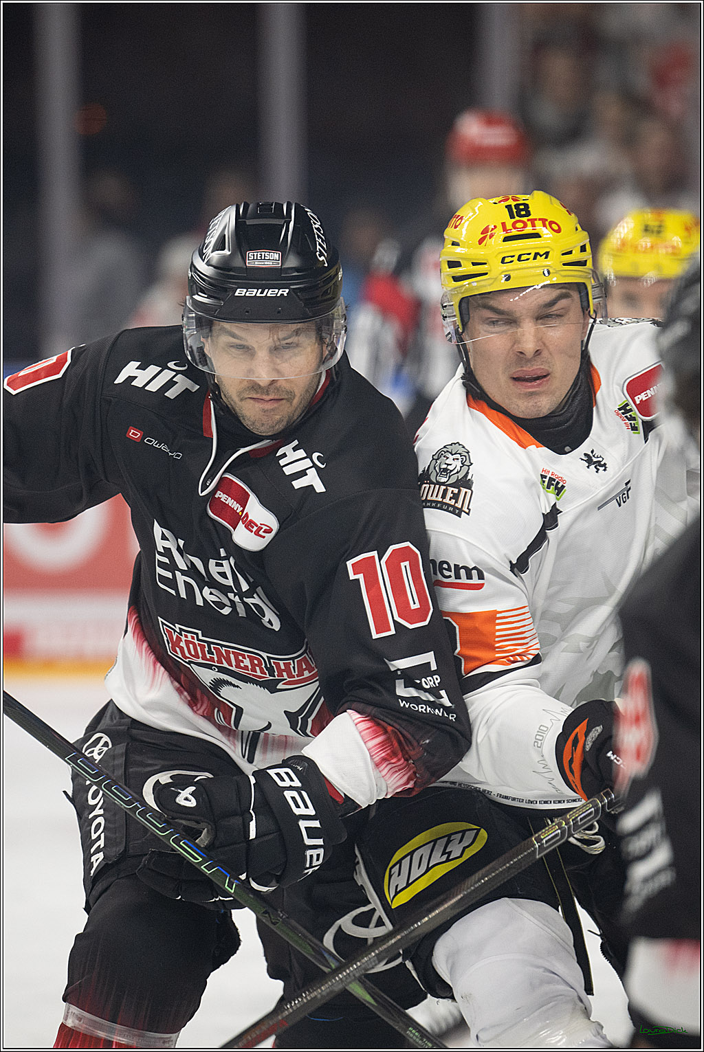 PENNY DEL 1; Kölner Haie - Löwen Frankfurt; Köln, 27.01.2026