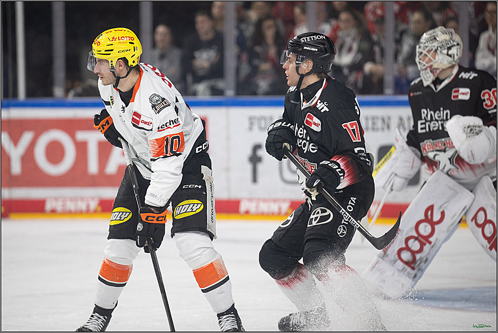 PENNY DEL 1; Kölner Haie - Löwen Frankfurt; Köln, 27.01.2026