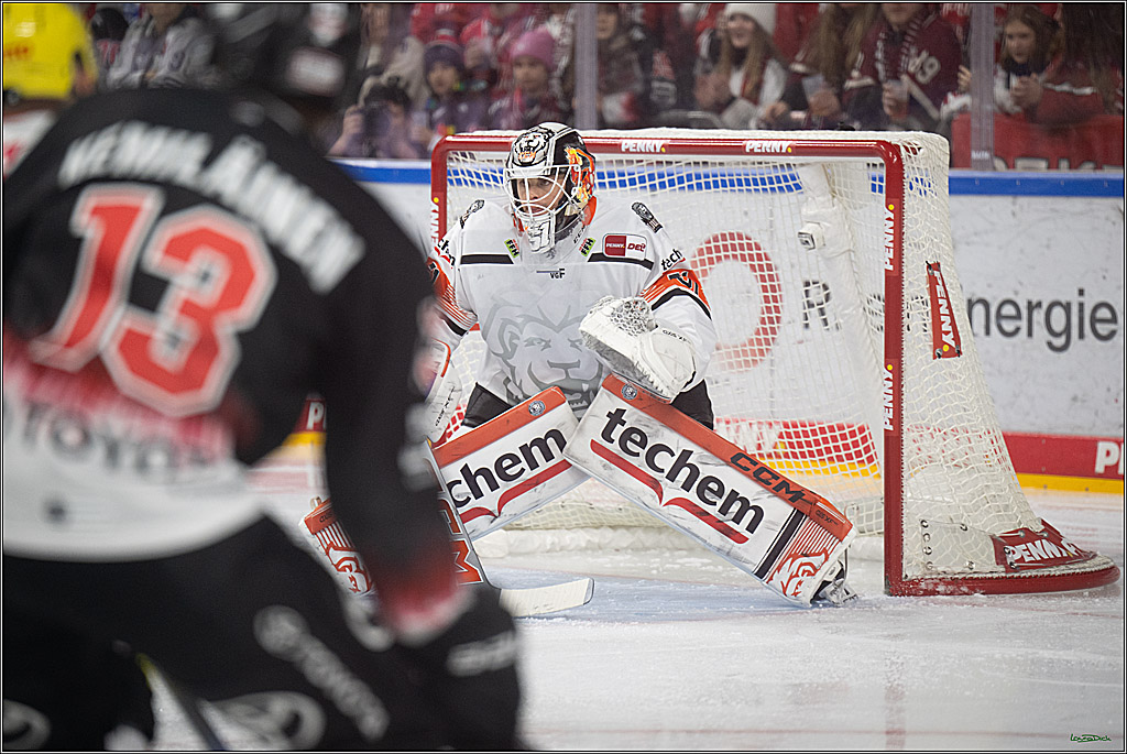 PENNY DEL 1; Kölner Haie - Löwen Frankfurt; Köln, 27.01.2026