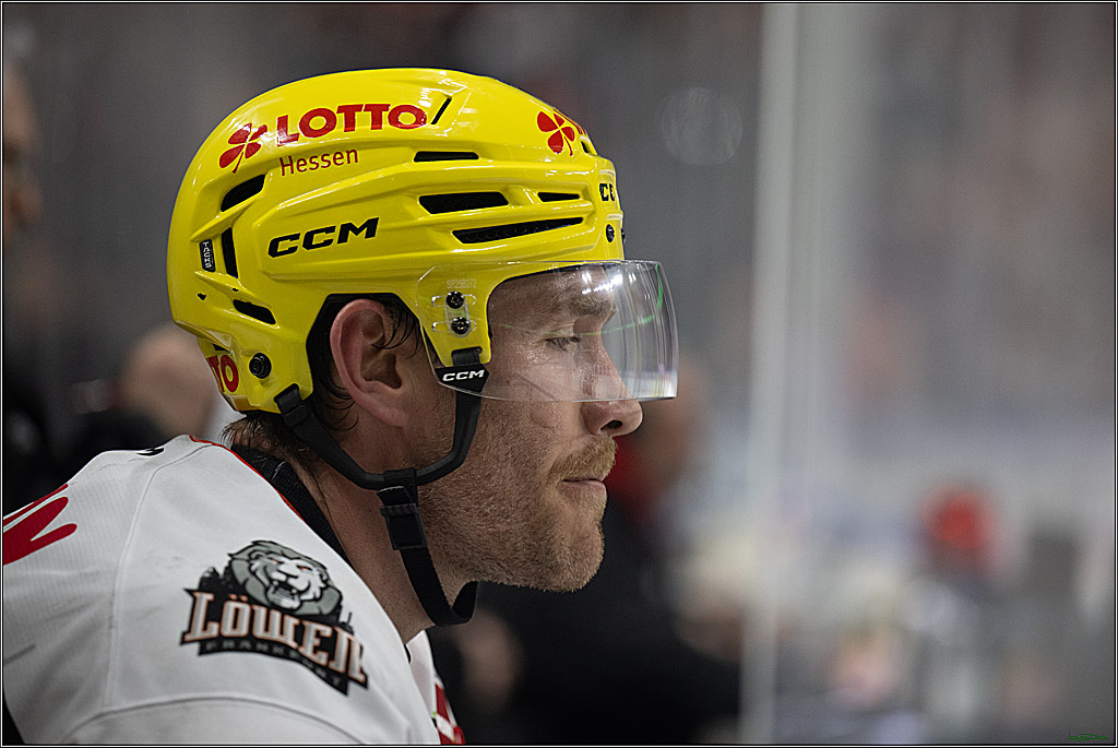 PENNY DEL 1; Kölner Haie - Löwen Frankfurt; Köln, 27.01.2026
