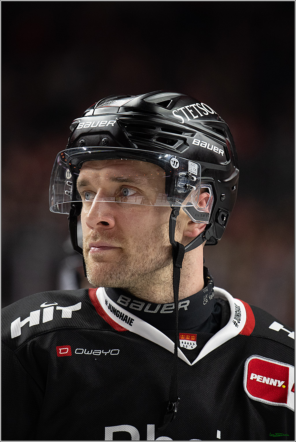 PENNY DEL 1; Kölner Haie - Löwen Frankfurt; Köln, 27.01.2026