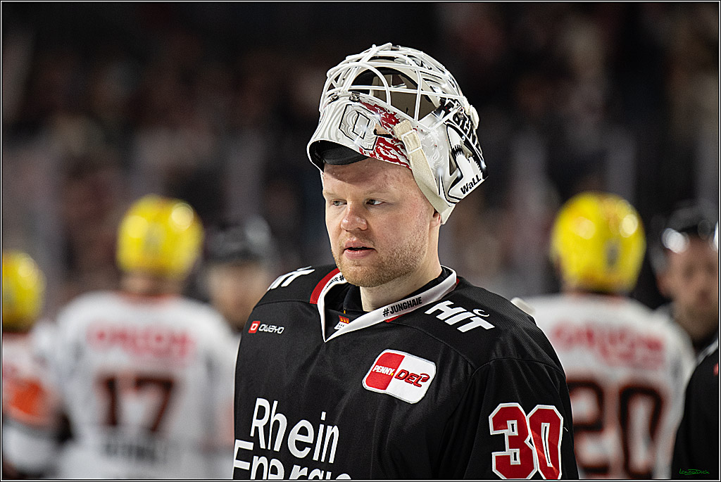 PENNY DEL 1; Kölner Haie - Löwen Frankfurt; Köln, 27.01.2026