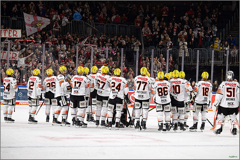 PENNY DEL 1; Kölner Haie - Löwen Frankfurt; Köln, 27.01.2026