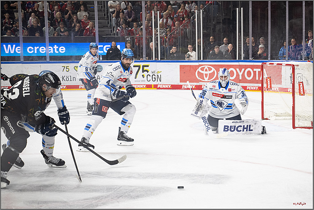 PENNY DEL 1; Kölner Haie - ERC Ingolstadt; Köln, 27.02.2026
