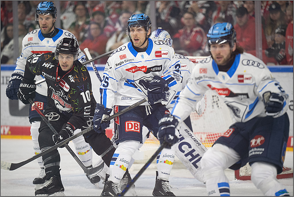 PENNY DEL 1; Kölner Haie - ERC Ingolstadt; Köln, 27.02.2026