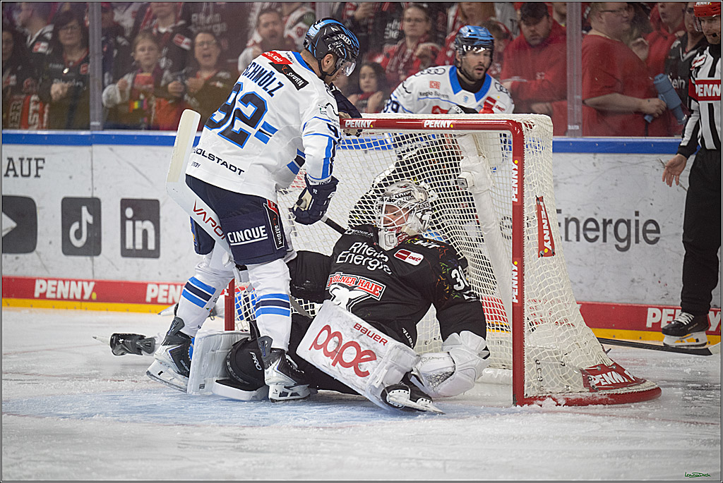PENNY DEL 1; Kölner Haie - ERC Ingolstadt; Köln, 27.02.2026