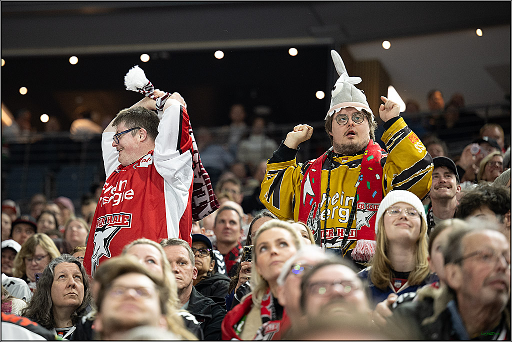 PENNY DEL 1; Kölner Haie - ERC Ingolstadt; Köln, 27.02.2026