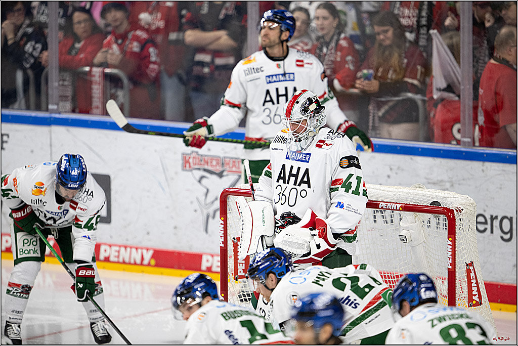 PENNY DEL 1; Kölner Haie - Augsburger Panther; Köln, 04.03.2026