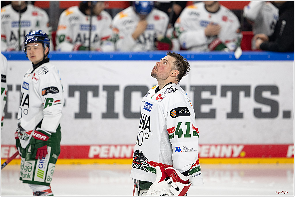 PENNY DEL 1; Kölner Haie - Augsburger Panther; Köln, 04.03.2026