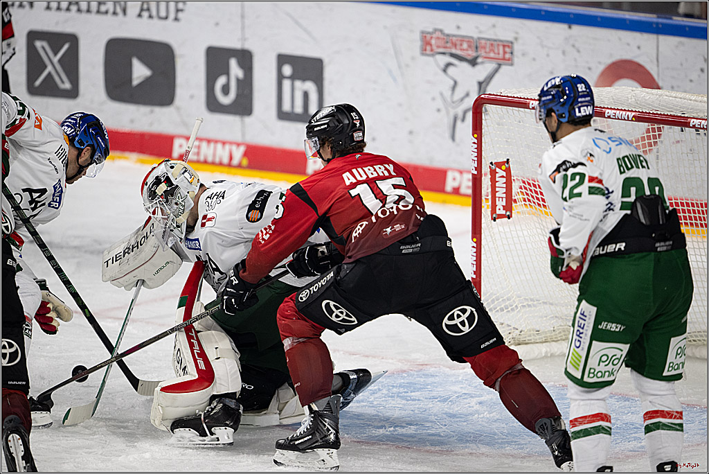 PENNY DEL 1; Kölner Haie - Augsburger Panther; Köln, 04.03.2026