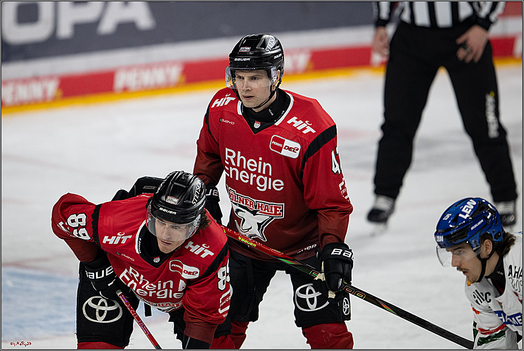 PENNY DEL 1; Kölner Haie - Augsburger Panther; Köln, 04.03.2026