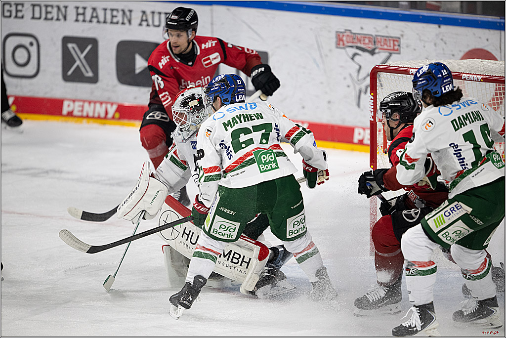 PENNY DEL 1; Kölner Haie - Augsburger Panther; Köln, 04.03.2026