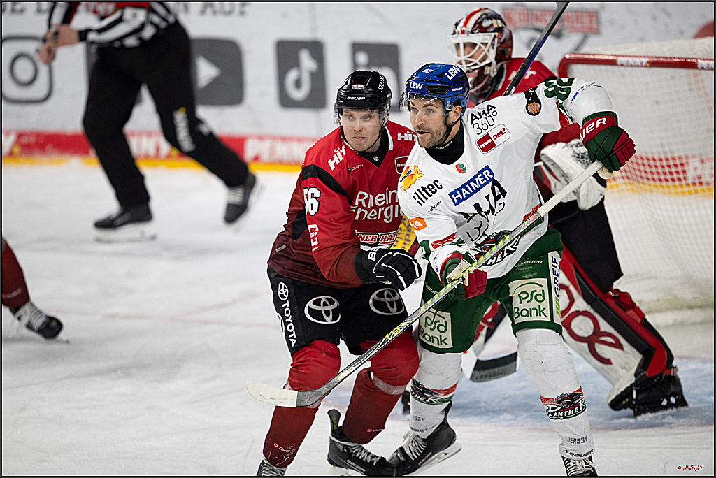 PENNY DEL 1; Kölner Haie - Augsburger Panther; Köln, 04.03.2026