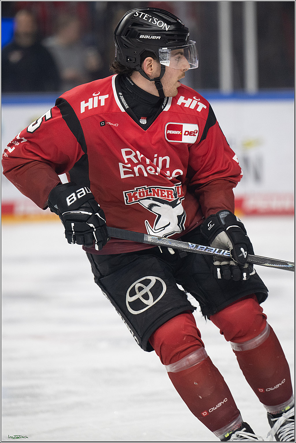 PENNY DEL 1; Kölner Haie - Augsburger Panther; Köln, 04.03.2026