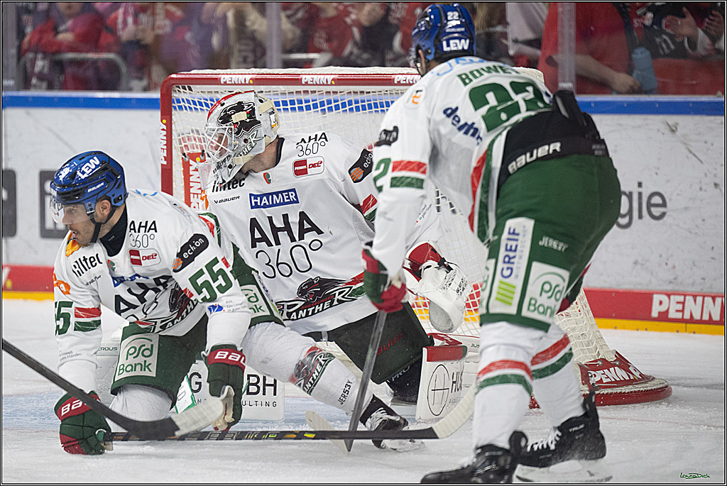 PENNY DEL 1; Kölner Haie - Augsburger Panther; Köln, 04.03.2026