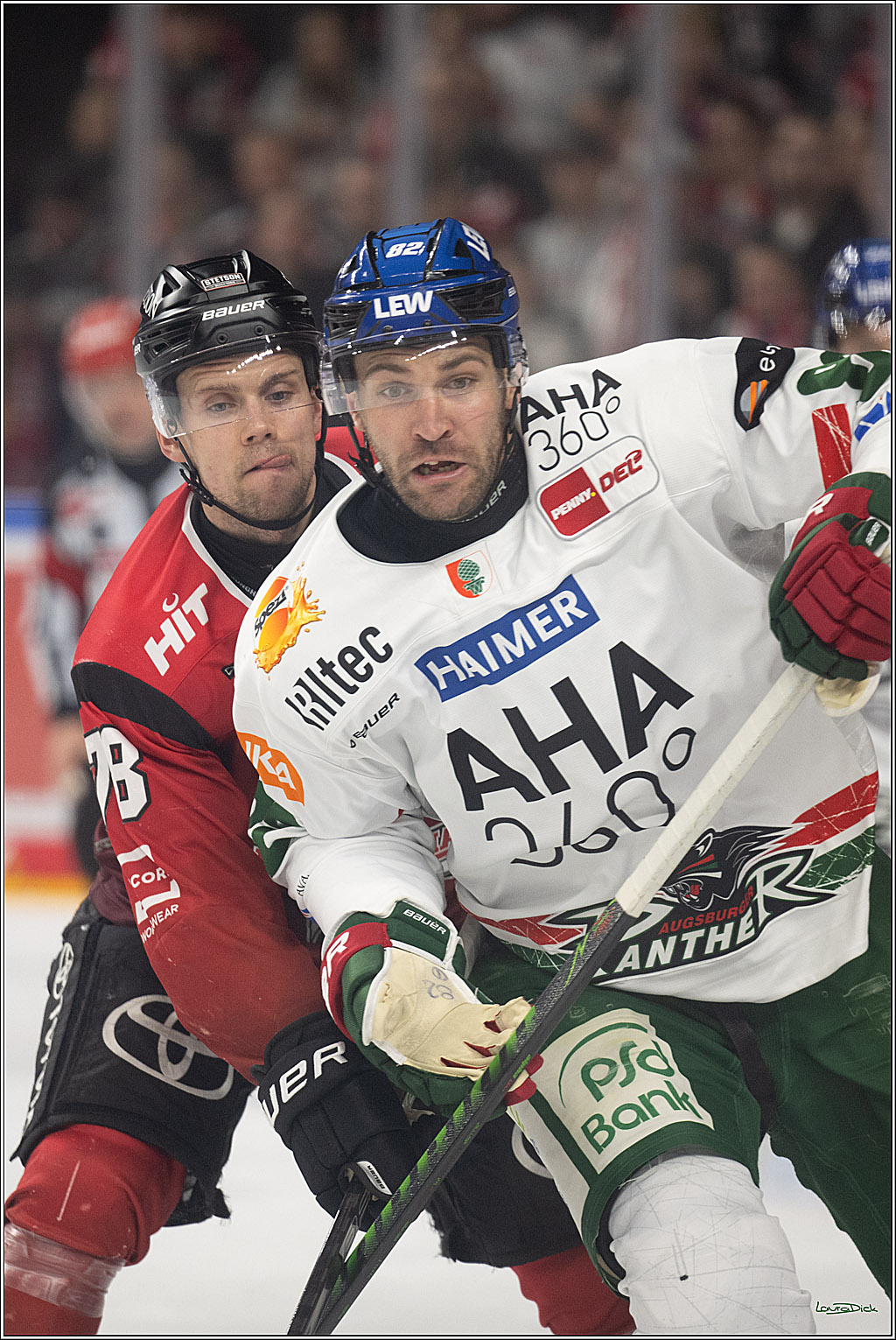 PENNY DEL 1; Kölner Haie - Augsburger Panther; Köln, 04.03.2026