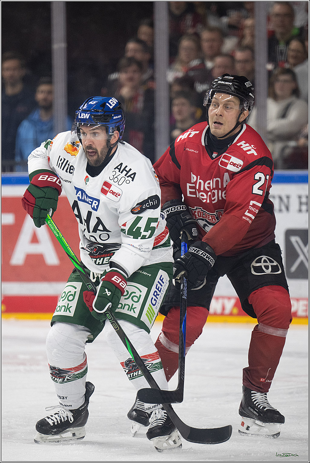 PENNY DEL 1; Kölner Haie - Augsburger Panther; Köln, 04.03.2026