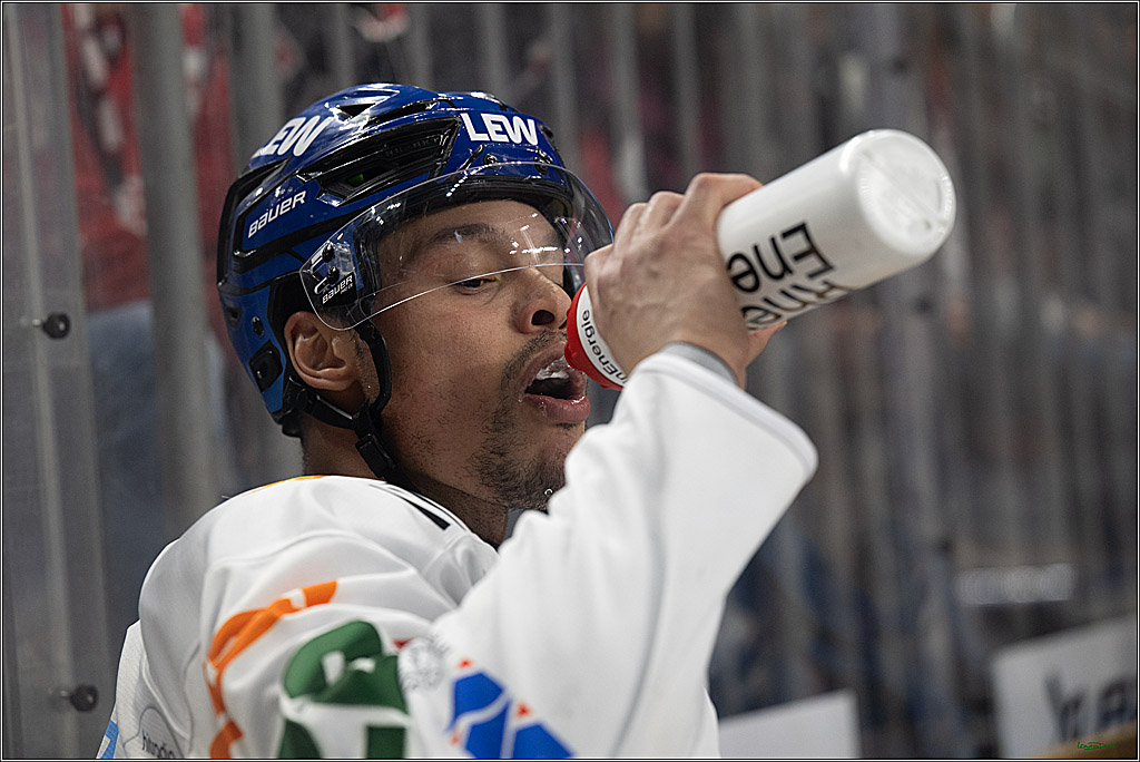 PENNY DEL 1; Kölner Haie - Augsburger Panther; Köln, 04.03.2026