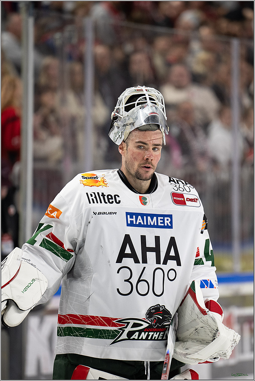 PENNY DEL 1; Kölner Haie - Augsburger Panther; Köln, 04.03.2026