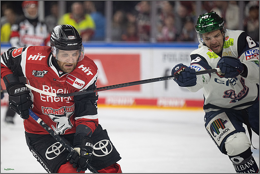 PENNY DEL 1 - Playoff Halbfinale - Kölner Haie - Eisbären Berlin; Köln, 10.04.2026